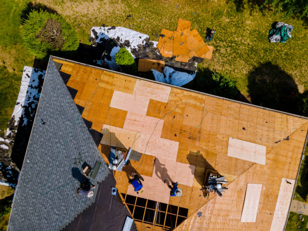 Roof Gutter Cleaning in Arlington, WA
