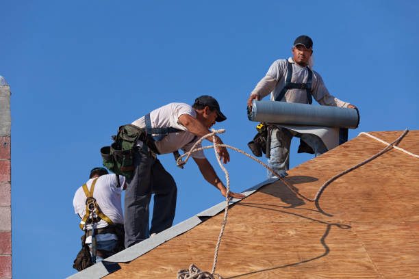 Best Roof Maintenance Services  in Arlington, WA