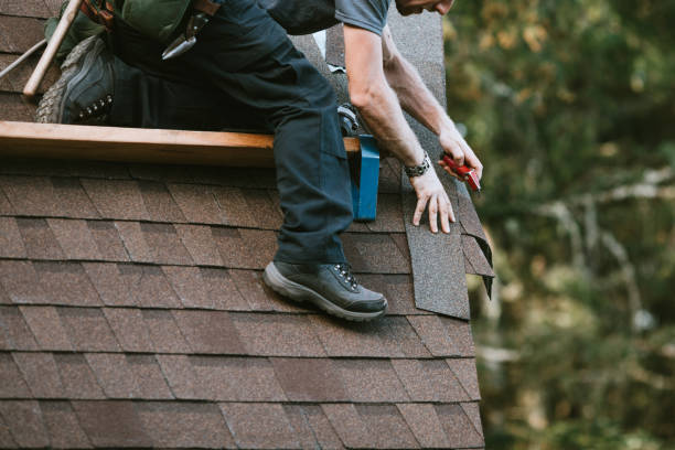 Best Roof Maintenance Services  in Arlington, WA